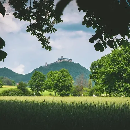 度假居 Vilka Petra Pod Bezdezem