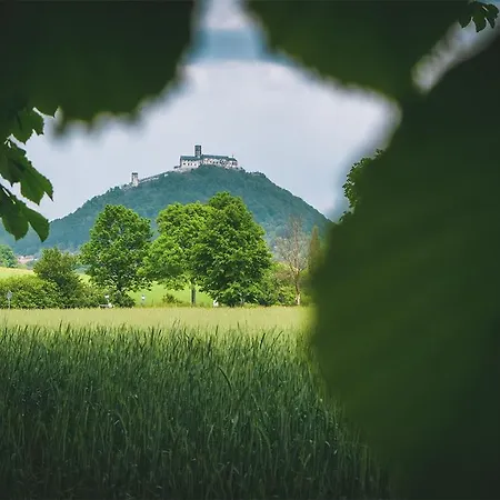 Vilka Petra Pod Bezdezem Bela pod Bezdezem