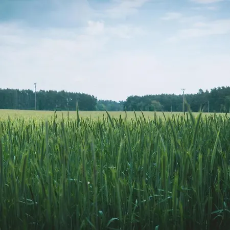 Vilka Petra Pod Bezdezem