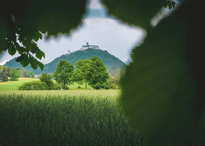 Vilka Petra Pod Bezdezem Bela pod Bezdezem